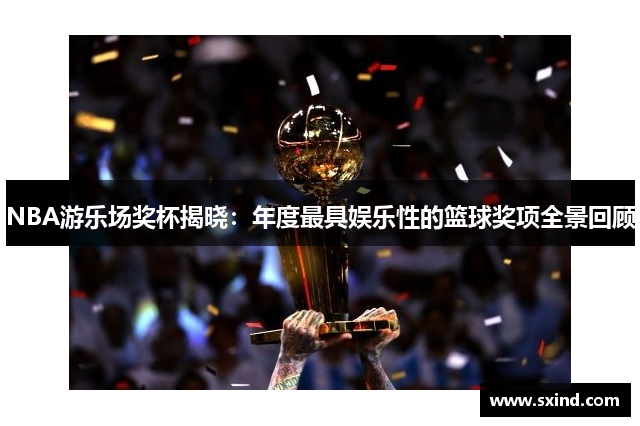 NBA游乐场奖杯揭晓：年度最具娱乐性的篮球奖项全景回顾