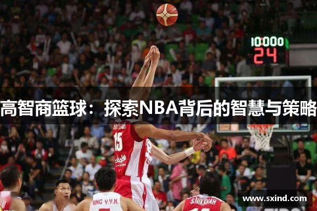 高智商篮球：探索NBA背后的智慧与策略